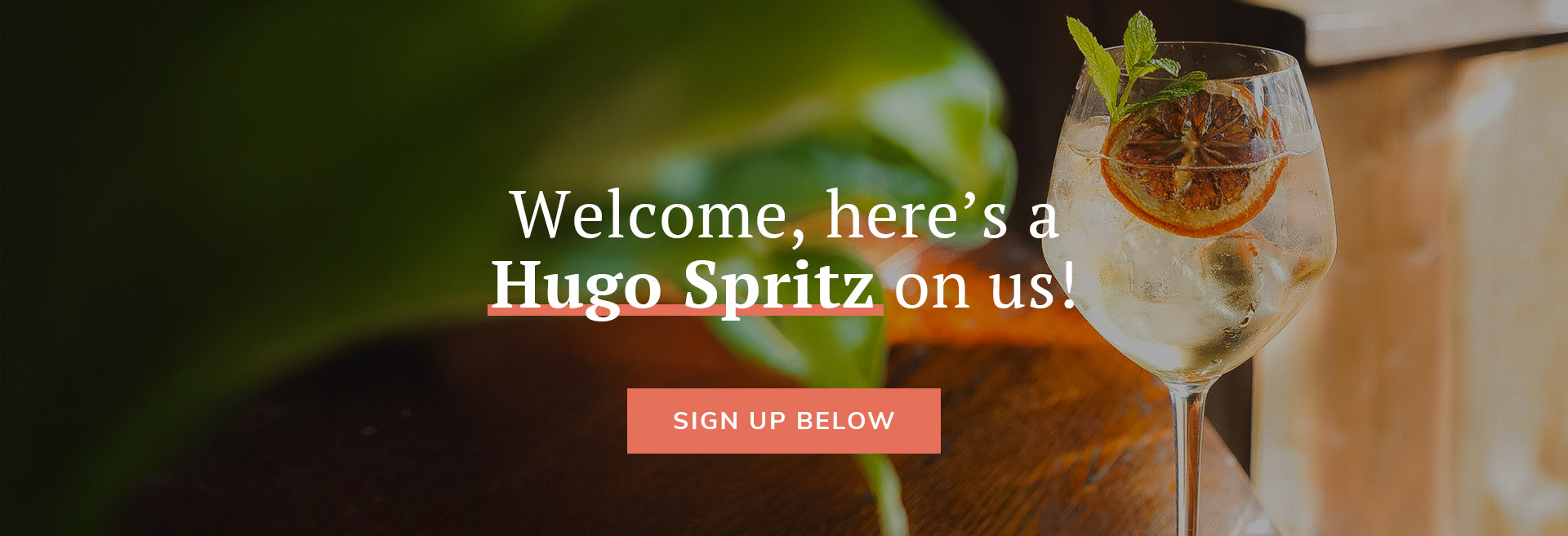 Sign up to the newsletter at The Prince of Wales Feathers
